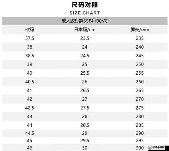 欧洲码日本码专线：优质尺码选购指南